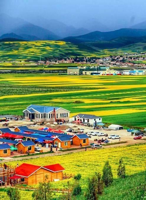 高原自信画卷,青海的成就之旅