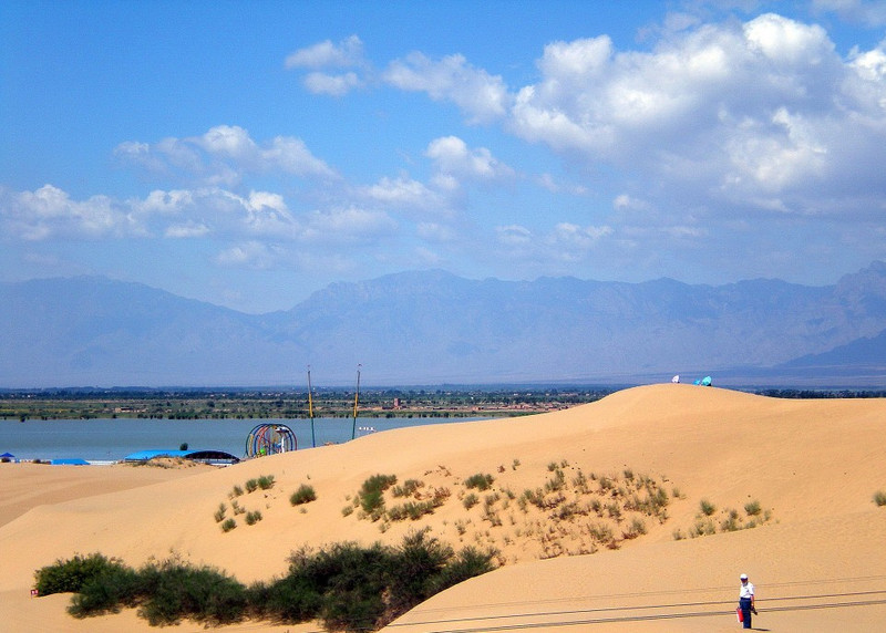 宁夏深巷风情探秘，特色小店等你邂逅