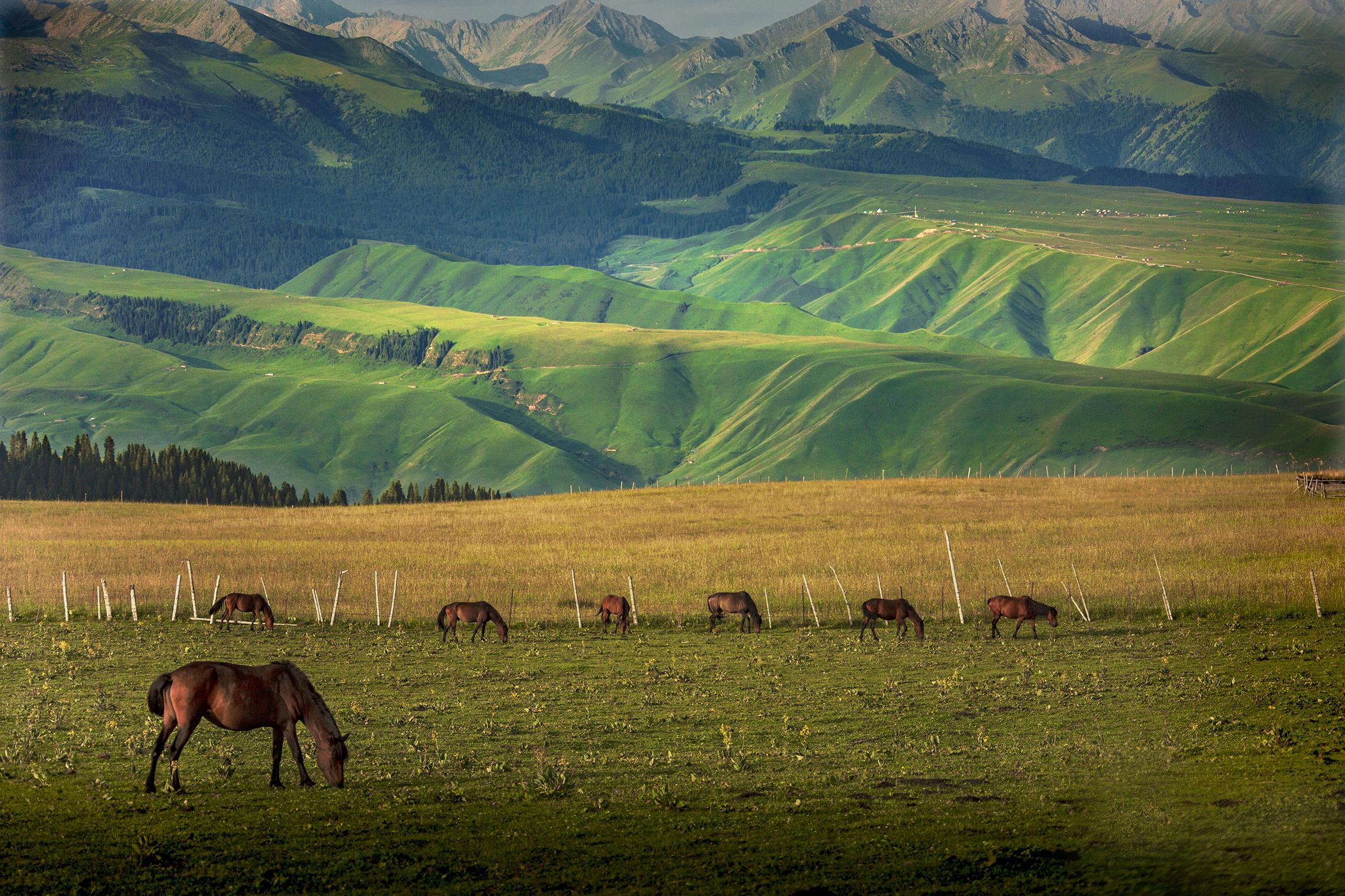 月光下的古城传奇，新疆戏剧之夜