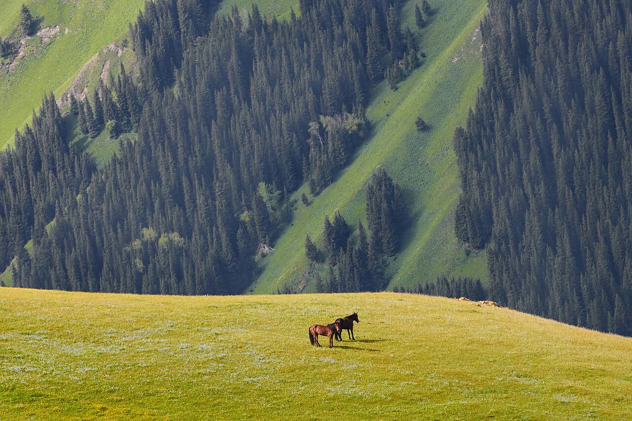 月光下的古城传奇,新疆戏剧之夜